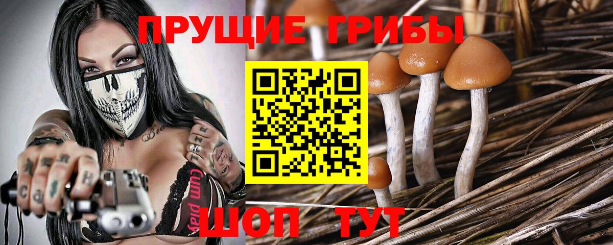 Галлюциногенные грибы ЛСД  Галлюциногенные грибы Magic Shrooms  Вход с VPN  Артём 