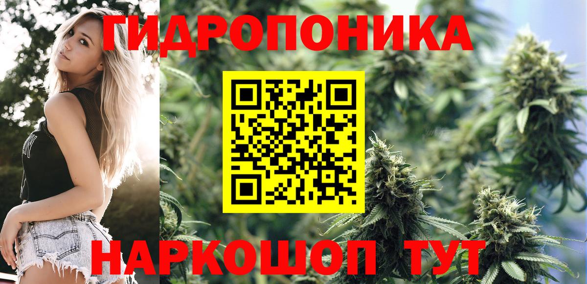Бошки Шишки конопля  Конопля White Widow  Шишки марихуана план  Артём  Вход с VPN 